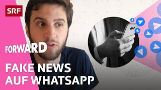 Fake News über Whatsapp – Wie verbreiten sich falsche Nachrichten? | Forward | Impact | SRF