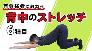 背中のストレッチ【6種目】