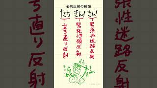 姿勢反射の種類の語呂合わせ～20秒で国試対策～