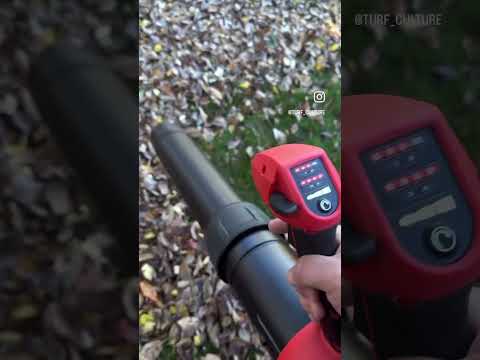 Fall Leaf Cleanup with all Three Milwaukee M18 Blowers!