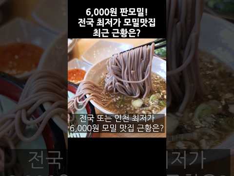 6,000원 전국 최저가 판모밀 맛집 "모밀지기"  이사 후 최초공개!  #모밀지기 #가성비 #착한가격 #모밀