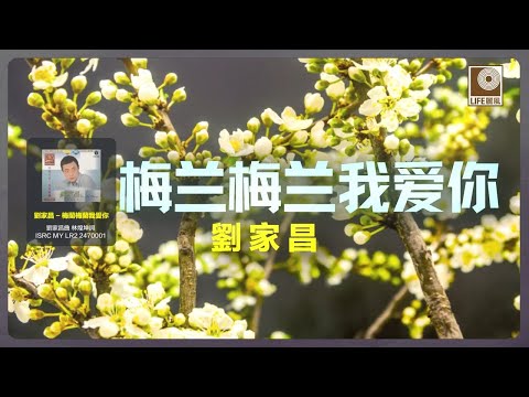 刘家昌 - 梅蘭梅蘭我愛你 (Official Karaoke Video)