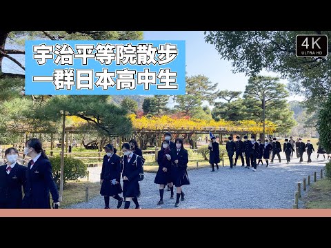 【日本散步4K】宇治世界文化遗产散步，遇到了北海道来的修学旅行团。不禁感叹，学生时代真美好