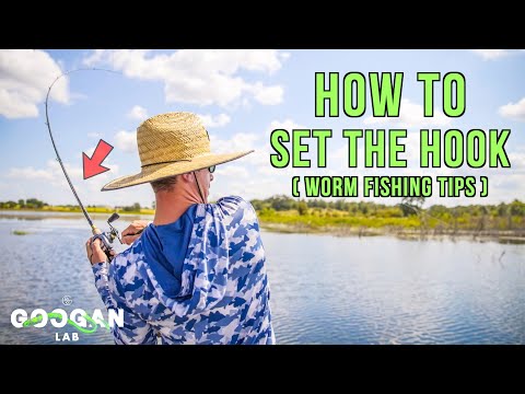 HOW TO SET the HOOK with PLASTIC WORMS ( Bass Fishing Tips )