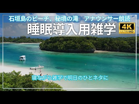 【睡眠導入用　雑学　朗読】【石垣島】【野底ビーチ】【荒川の滝】４K映像