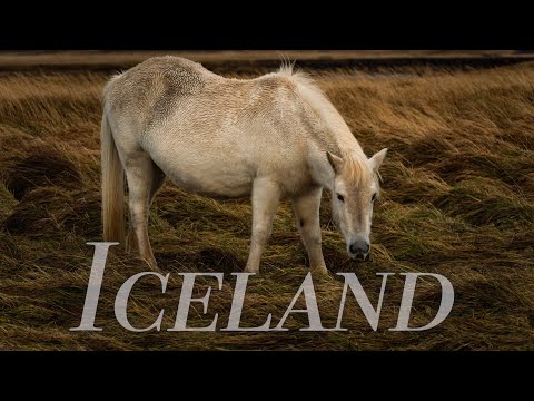 アイスランドのスナイフルスネス半島に行ってみた!! Exploring Snæfellsnes Peninsula in ICELAND