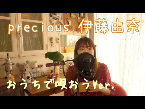 Precious 伊藤由奈 cover おうちで唄おうVer.