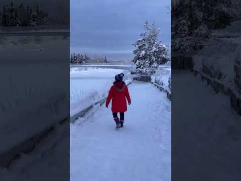 Lonely Park.寂寞的雪白公園。連河流也凍結了。#snow #freeze #park #landscape #alaska #fairbanks #阿拉斯加 #雪 #公園 #景點 #旅行