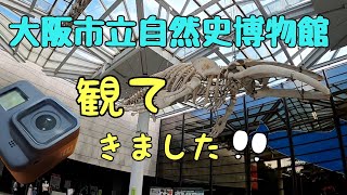 長居公園【大阪市立自然史博物館】大阪市内近場で手軽に半日楽しめる施設。子供たち大喜び！(笑)大阪メトロ御堂筋線長居駅GoProHERO8撮影最新Android編集