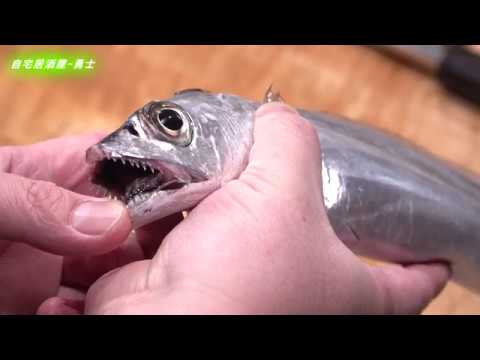 タチウオの捌き方と簡単な刺身「細造り」-How to filet Cutlassfish and make sashimi-