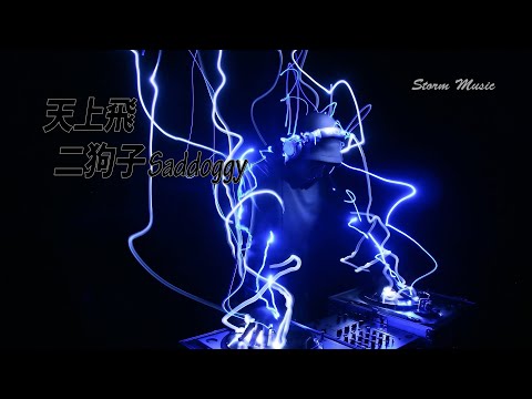 二狗子Saddoggy - 天上飛 [頑皮老闆喝不醉 每天都在天上飛]【動態歌詞Lyrics】