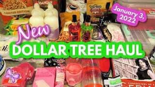 First DOLLAR TREE HAUL of the Year!  January 3, 2022 #LeighsHome