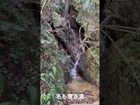 沖縄本島北部　名も無き滝