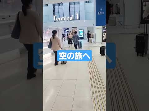 飛行機に久しぶりに乗る日 #shorts #帰省 #アラサー女子