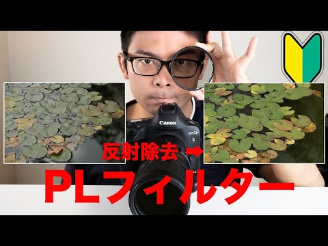 色鮮やかに！PLフィルター活用術！反射除去と反射増幅で思い通りの写真に！