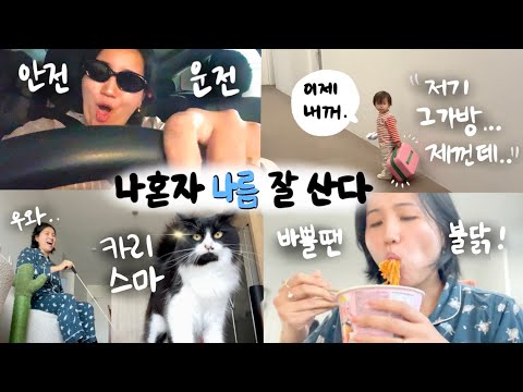 나 혼자 나름 잘먹고 잘산다! 쁘큐보이 없는 10일간의 홀로 브이로그🚶🏻‍♀️