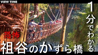 【恐怖】祖谷のかずら橋（徳島観光/見どころ/歴史/料金/駐車場/トイレ）