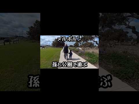 近くの公園で孫と遊びました。続きは本編で！