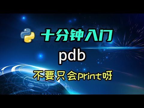 【python】来学学debugger吧，不能只会用print调试呀！