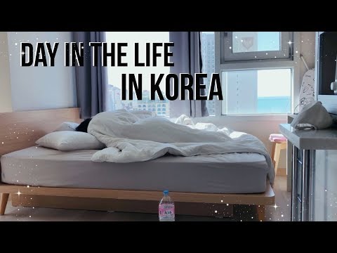 day in korea