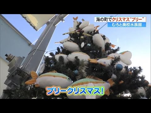 「ブリークリスマス！？」むろと廃校水族館「春にブリが大漁になりますように」【高知】 (24/12/25 17:00)