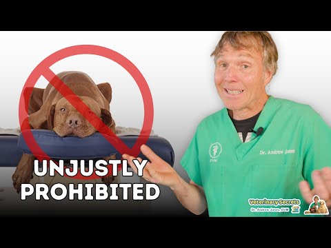 Are Non-Veterinary Animal Health Practitioners Being Unfairly Banned?