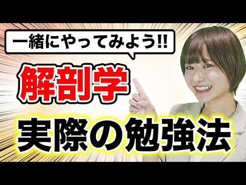 【解剖学】医学部の解剖学には勉強する順番があった!!（解剖学勉強法）