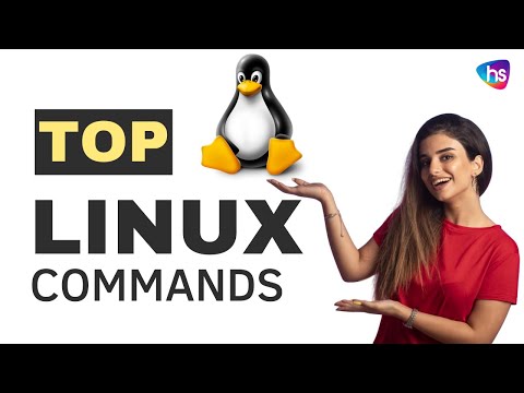 Top Linux Commands to learn - Basic Linux commands - Chat GPT