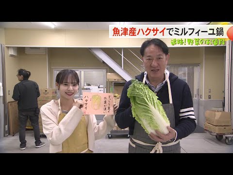 【追跡！野菜のお値段】 寒い時期にはハクサイ！