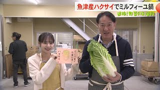 【追跡！野菜のお値段】 寒い時期にはハクサイ！