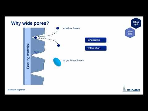 KNAUER HPLC Columns Tutorial: 05 HPLC column RP widePore