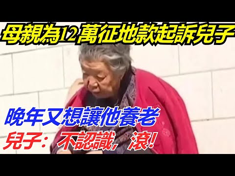 母親為12萬征地款起訴兒子，晚年又想讓他養老，兒子：不認識，滾！【流星奇聞】#奇聞#故事#奇聞觀察室#案件解讀#情感#家庭矛盾