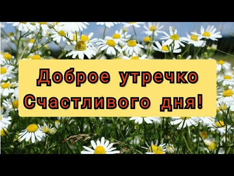 С Добрым Утром И Хорошим Днем! Счастья Тебе И От Меня Букет Ромашек! Доброе Утро!