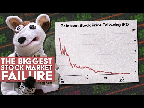 The Story of Pets.Com: The Biggest Stock Market Failure Ever - The Dot-Com Bubble