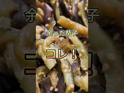 火を使わない【茄子ナムル】の作り方！わさびで旨い！#茄子 #ナムル #家庭料理 #簡単レシピ #常備菜