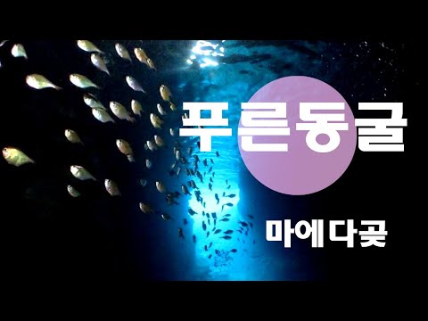 [오키나와 다이빙]  푸른동굴 포인트소개 핑크머메이드