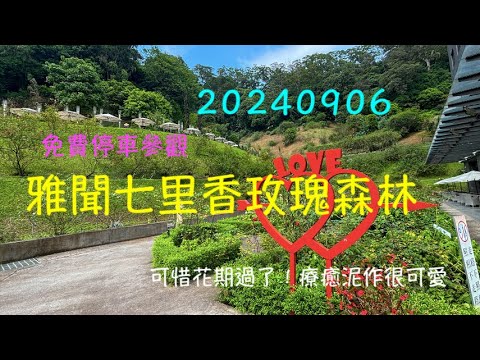 萬ㄟeye台灣20240906雅聞七里香玫瑰森林～療癒泥作   4K