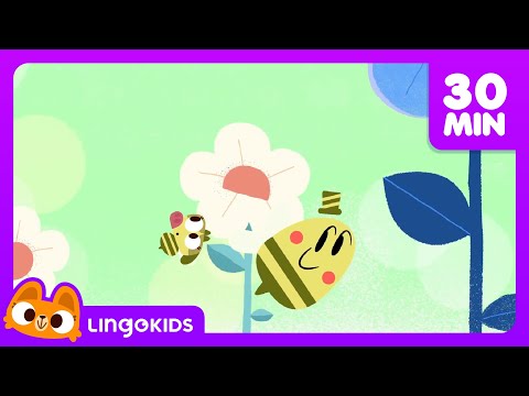 BEES DINOSAURS AND MORE FUN CARTOONS 🐝🦖 Science for Kids | Lingokids