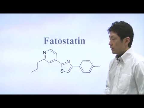 Unit 11 Part 3   Yasuo Uchida Method and Fatostatin