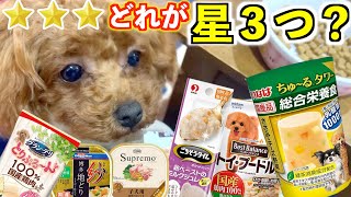 【食べ比べ評価】ドッグフード食べなくなった子犬が気に入ったご飯は！？【トイプードル】