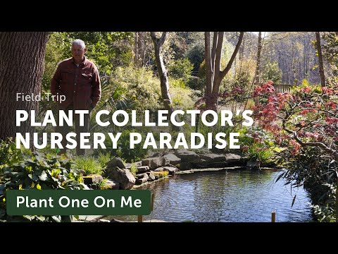 A Plant Collector's Nursery Tour: 27,000 Taxa! — Ep. 376