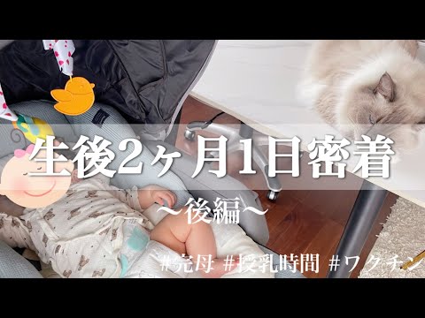 【生後2ヶ月】後編/寝かしつけ/ルーティン/完母/ワクチン/猫と育つ赤ちゃん【育児家事vlog】