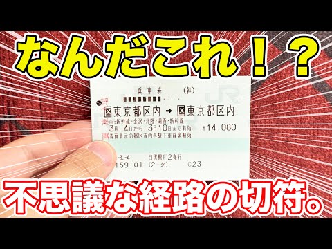 【東京→東京】出発地と目的地が同じ！？謎の経路の切符を使ってみた。