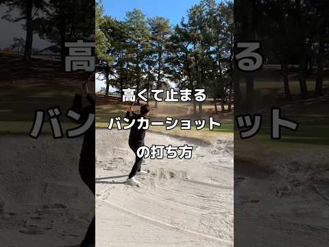 高くて止まるバンカーショット！#バンカー #ゴルフ #golf