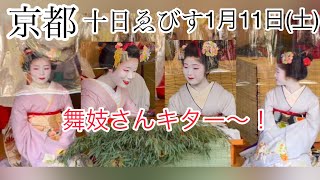 【京都】十日ゑびす/残り福祭/舞妓さんからの吉兆笹授与/1月11日（土）#京都黒柴散歩