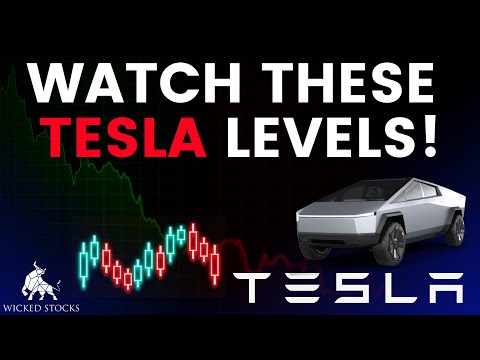 Tesla Stock Price Analysis | Top Levels To Watch for December 31st, 2024