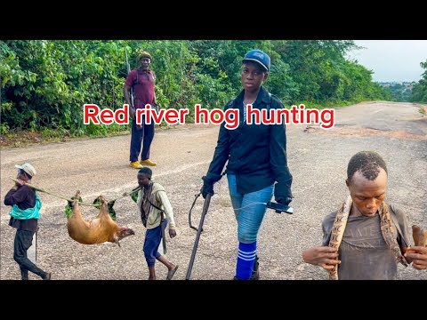 Finally we got something - Red river hog hunting - Hunting Ep55