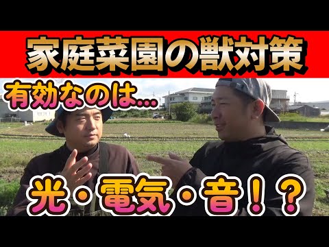 【獣害対策】獣対策5選!!何の獣にやられてるか分からない人は特に必見です!!【家庭菜園】【農薬】【農業初心者】