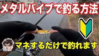 サーキットバイブで爆釣した使い方を解説【バス釣り】