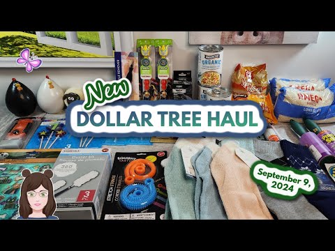 DOLLAR TREE HAUL! New Finds!! Everything was $1.25! September 9, 2024